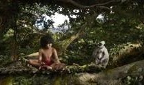 奇幻森林在线观看国语,国语音频版，探索未知奇幻之旅