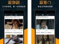 热影院手机在线观看,畅享影视盛宴