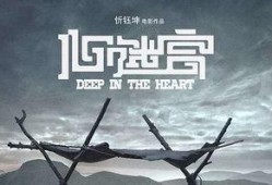 心迷宫在线观看免费观看,免费解锁，揭秘情感迷局