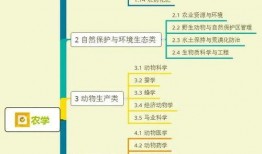 小李编导爆料视频大全集,揭秘幕后的精彩瞬间