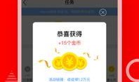 新闻天天看爆料视频,最新爆料视频内容大起底