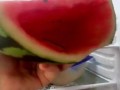 西瓜新闻大爆料
