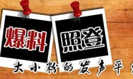 重庆贾先生最新爆料,揭秘背后惊人真相